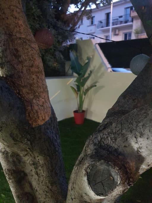 Superbe Appartement Avec Jacuzzi Et Exterieur Perpignan Eksteriør bilde